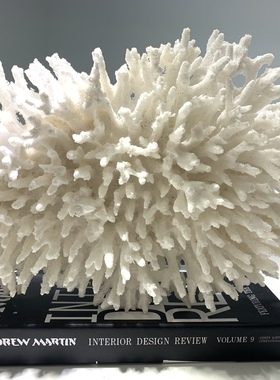 海印象现代轻奢新中式酒店样板房售楼处客厅书房珊瑚树摆件装饰品