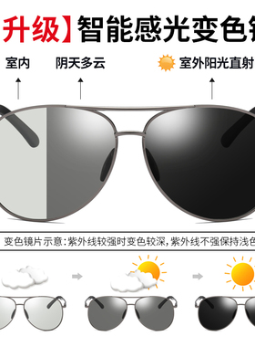 新款开车专用两用潮流太阳眼镜