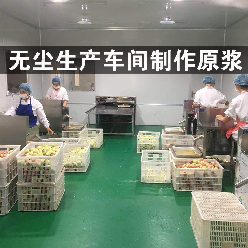 广西百香果百x果原浆肉冷冻果汁酱图片_2