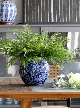 室内蕨类仿真植物文艺装饰假花