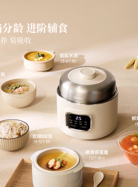 电炖锅燕窝煮粥煲汤锅隔水炖汤锅