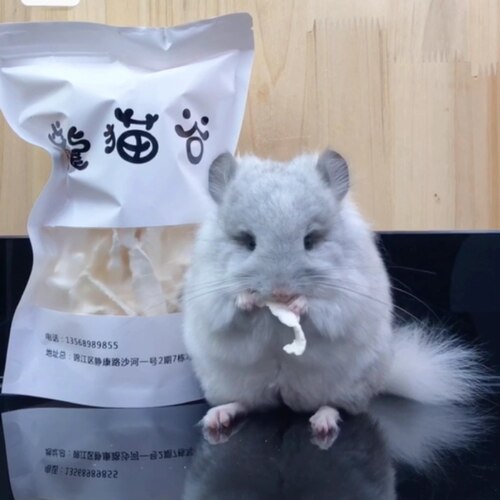 柚子皮烘干脱水 缓解咬毛 补充维生素小宠零食60g 龙猫谷特有产品 - 图0