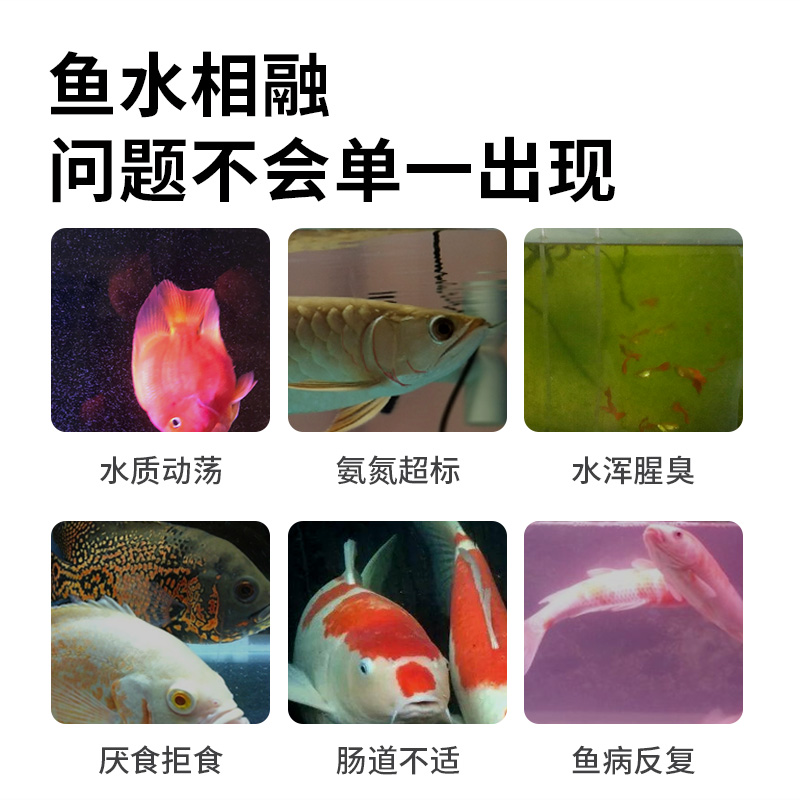 BIOZYM百因美鱼缸益生菌建立硝化营养液龙鱼养鱼调理剂观赏鱼净水 - 图2