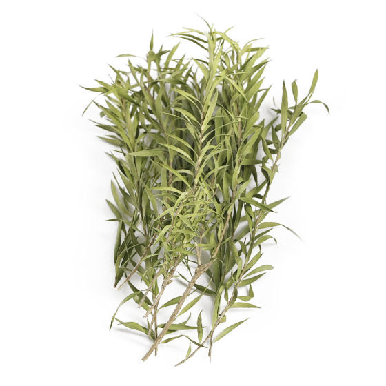 Flowers and grass sand table material model diy scene simulation production waterscape bamboo small trees shrubs vegetation reeds