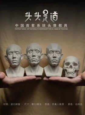 头头是道头像教具雕塑写生教具