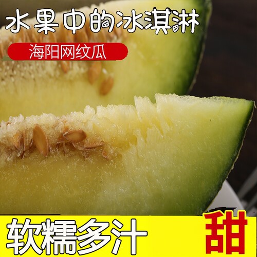 网纹瓜冰蜜瓜淇淋玫山东海阳特产水果新鲜珑口口蜜软甜绿肉哈密瓜 - 图0