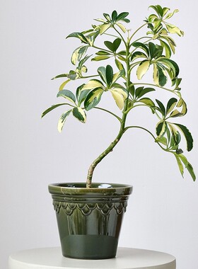 北欧简约复古陶瓷花盆多肉绿植盆栽盆景盆透气陶盆家居摆件