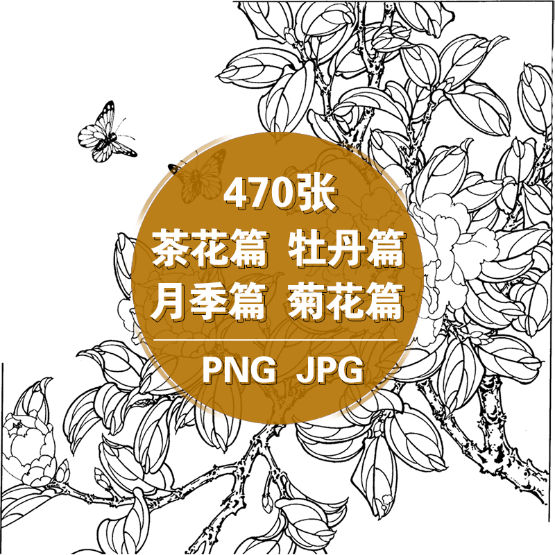 白描花卉植物高清手绘线稿工笔画国画SAI上色彩稿插画临摹PNG素材 - 图0