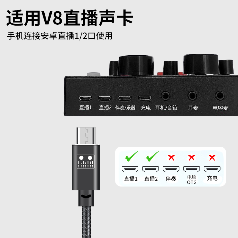 适用苹果15手机Type c接口好牧人安卓V8直播专用声卡麦克风话筒全名k歌内录音频线ip14/13/12/pro/max加长2米 - 图2