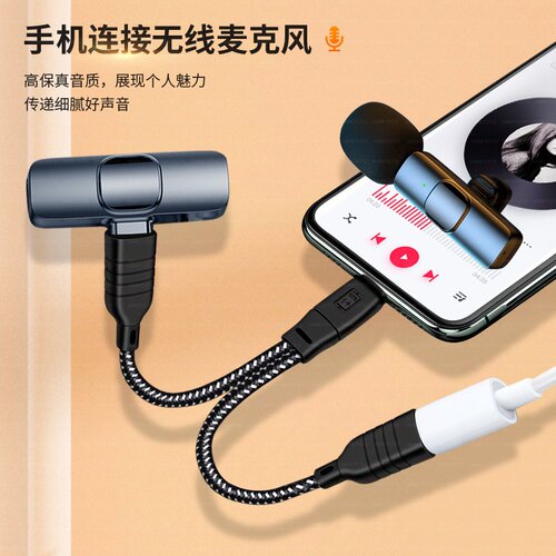 迎春yc2适用苹果OTG转双Type c母口手机tpc无线麦克风收音器充电接口领夹麦声卡转换器iphone数据线14转接头 - 图2