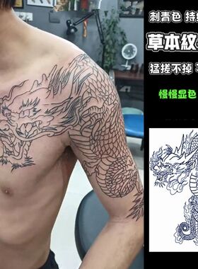 披肩龙半甲线条刺青色草本果汁纹身贴社会男女防水持久仿真
