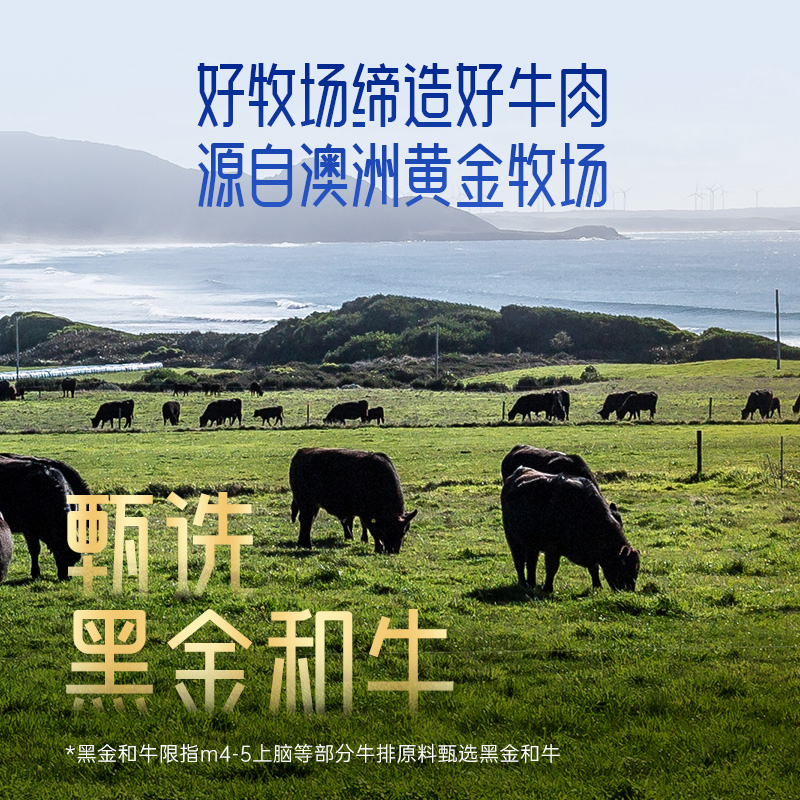 小牛凯西澳洲谷饲和牛M9原切牛排西冷M5眼肉雪花无添加官方旗舰店