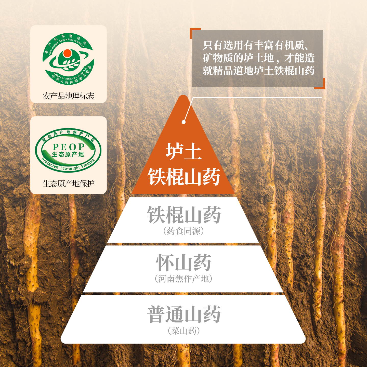 怀山堂正宗铁棍怀山药粉河南焦作温县垆土淮怀山药熟粉官方旗舰店