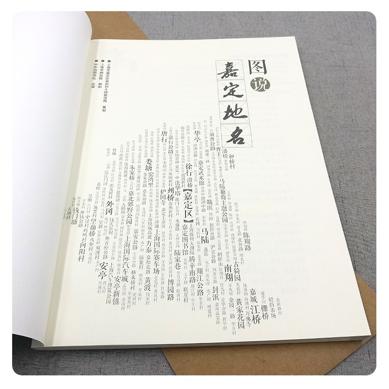 图说嘉定地名 地区介绍书籍 图文并茂介绍嘉定枫桥南翔老街古漪园法华塔护国寺地区历史简介文献资料 中华地图学社 - 图1