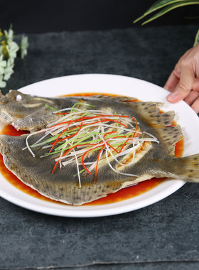 仿真清蒸多宝鱼模型假菜假鱼样品