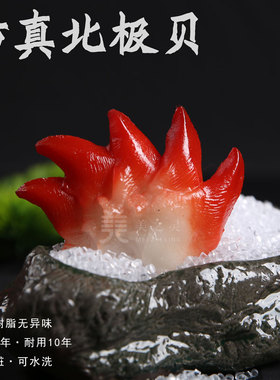 仿真三文鱼模型刺身拼盘模型