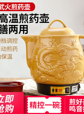 煮中药壶熬药家用煲药炖中药锅