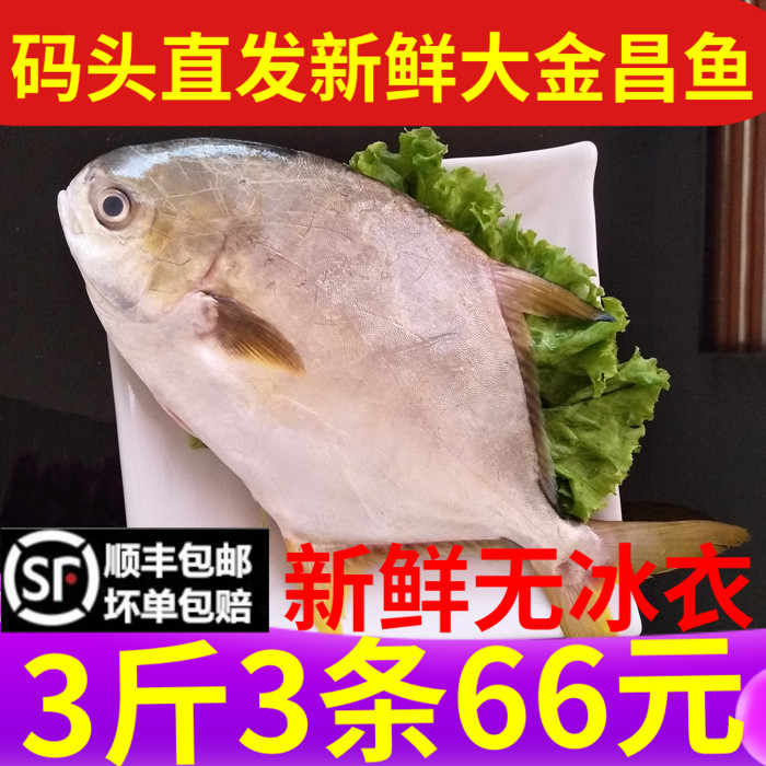 平鱼 新人首单立减十元 21年8月 淘宝海外