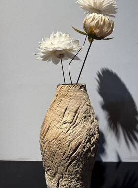 木渣侘寂风树瘤花瓶艺术品孤品风化木实木花瓶