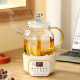 Office small health pot mini tea brewer