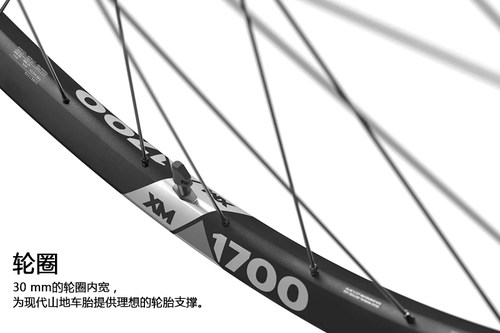 DT SWISS XM 1700 全地形AM山地车27.5 29铝合金中锁碟刹轮组 - 图1