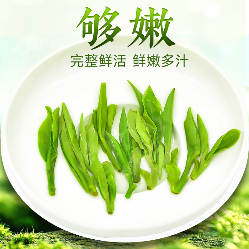 禾安堂龙井茶2025年新茶叶雨前口粮绿茶官方旗舰店正品春茶自己喝,淘宝优惠券,粉丝福利购,淘宝优惠卷