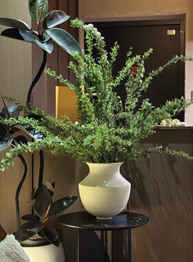 粗陶花器复古陶罐侘寂中古陶土陶瓷花瓶摆件白色绿植插花日式花盆