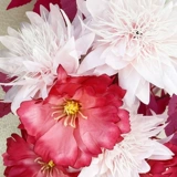 Свадебная лестница, перила, марлевые шторы, украшение для свадебной комнаты, спальни, комплект для лестницы, балкон, латте, шелковая атласная занавеска с жемчугом