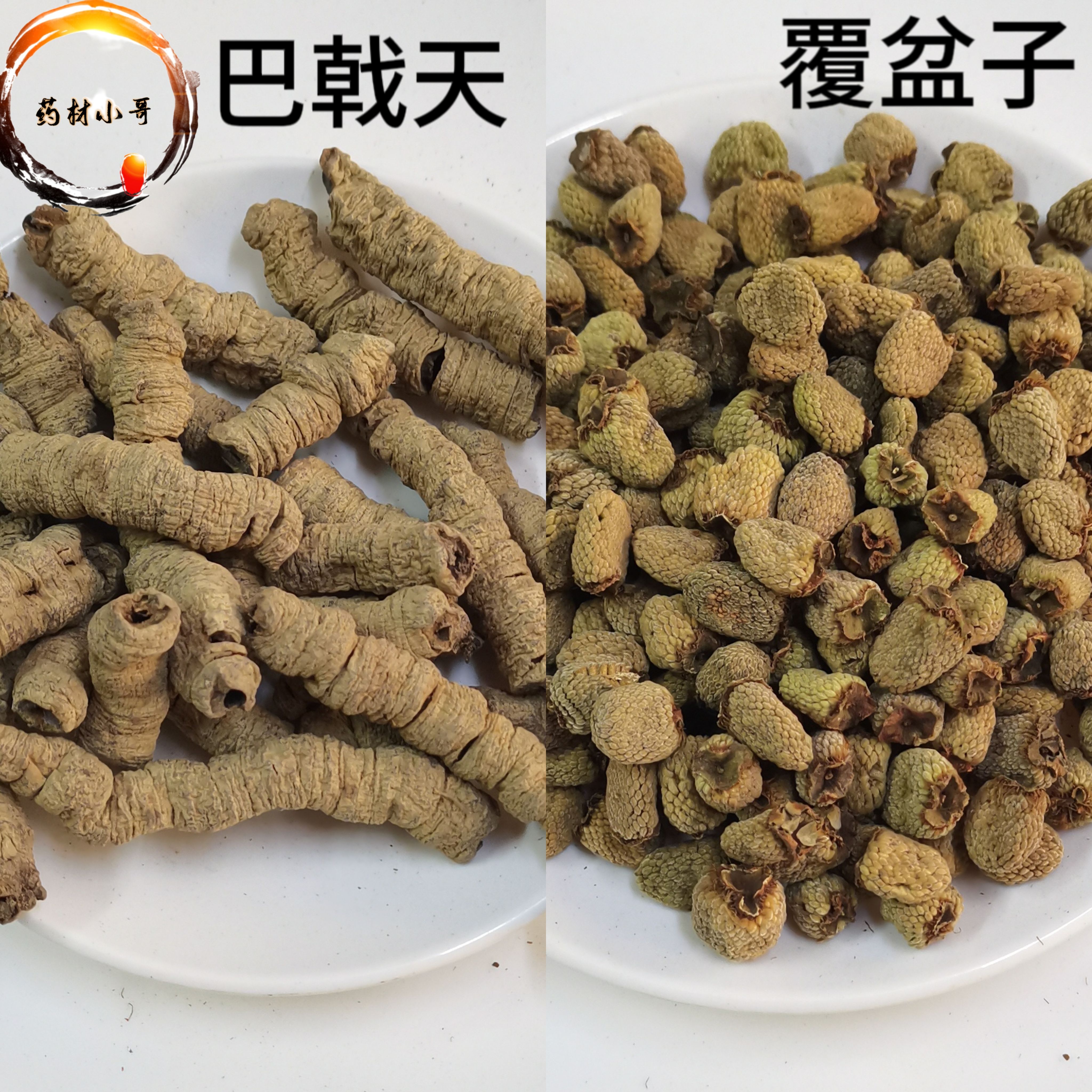 倪师泡酒料肉苁蓉锁阳覆盆子淫羊藿巴戟天桑螵蛸黄芪黄连-图3