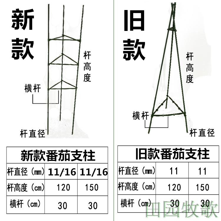 番茄黄瓜爬藤架子花支架月季花架园艺西红柿支撑杆植物攀爬架包邮-图0