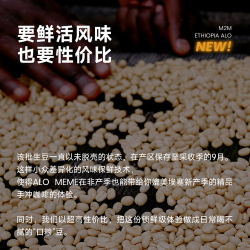 M2M埃塞ALO MEME水洗74158精品口粮浅烘手冲咖啡豆粉进口现磨正品 - 图0