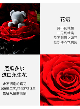 joyflower永生干花礼盒小熊公仔