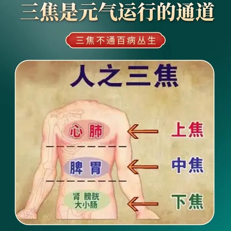 全躯通焦丸上热下寒三焦中焦不通心肝脾胃调理虚不受补淤堵内火旺 - 图1