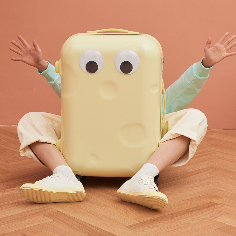 20寸女小众设计ins网红新款行李箱 桑雅旅行箱