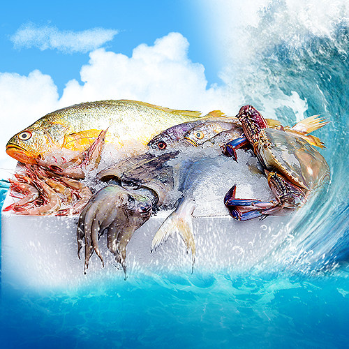  轩农谷海鲜水产礼盒套装