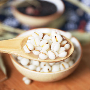 买3送1新鲜贵州小薏米仁500g