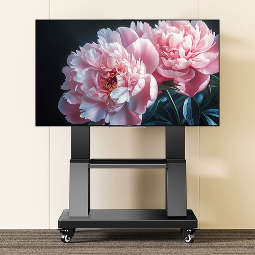 ТВ-пола Стенд Маунт Маунт Мобил подходит для Skyworth Hisense Thunderbird и других 55/65/75/100-дюймовые тележки