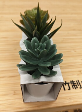 宜家思米加仿真多肉 6cm迷你假植物摆件室内桌面装饰绿植三件套
