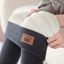 Northeast Terthick lamb suede pure cotton beating underpants female outwear for winter plus suede thickened large code high waist and warm pants