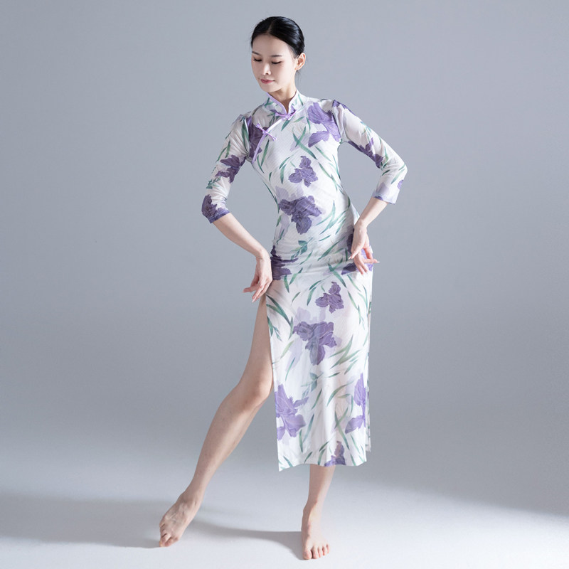 成人古典舞练功服旗袍舞蹈专用高弹印花优雅中国风舞蹈多情种服装