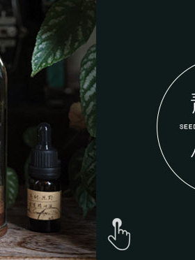 青松香薰植物摆件治愈办公室客厅北欧桌面办公桌装饰礼物