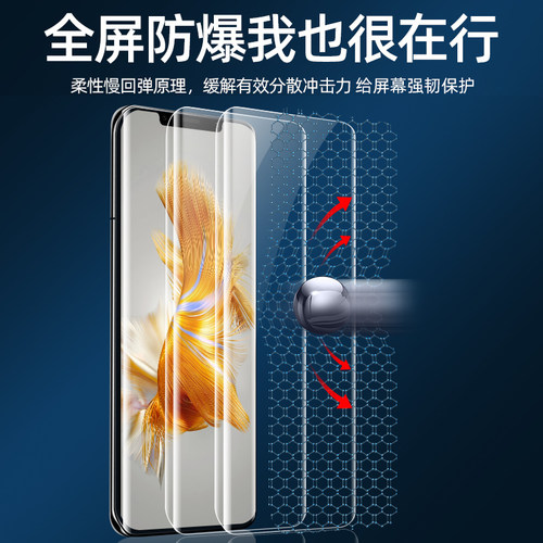 我龙适用华为p40pro钢化膜100mate40手机30水凝90p50p30p60荣耀80pura70/400防窥13x50/60/200nova8magic7/9 - 图1