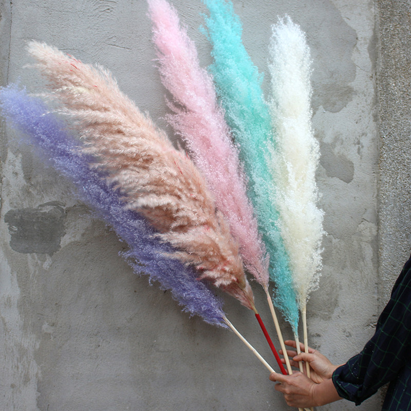 大芦苇干花长枝落地网红插花永生花服装店咖啡店橱窗摆设装饰造景,淘宝优惠券,粉丝福利购,淘宝优惠卷