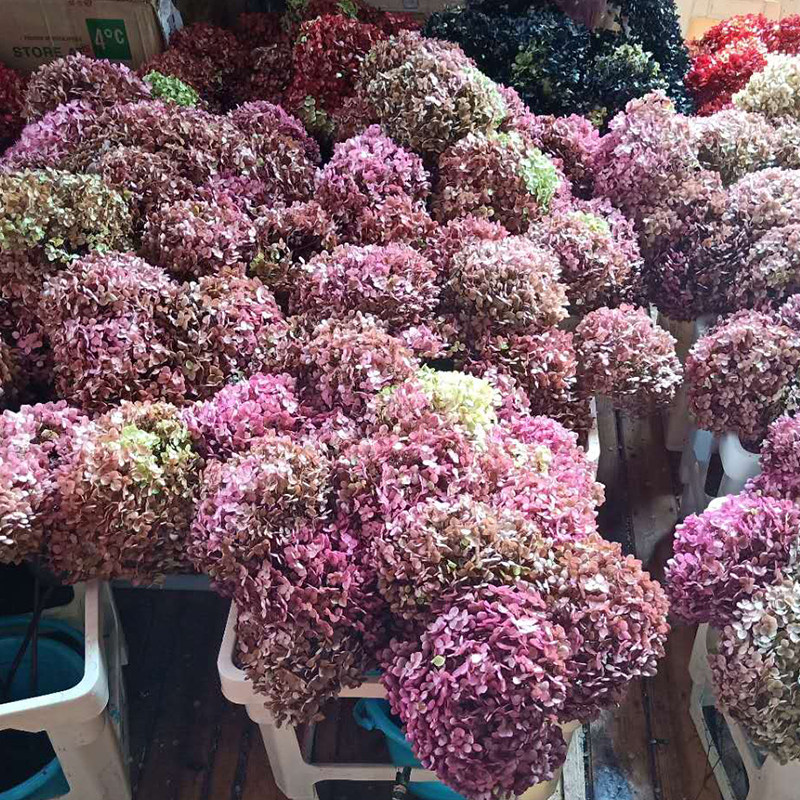 永生花绣球干花真花高端小叶安娜家居咖啡馆酒吧餐桌店铺摆设干花,淘宝优惠券,粉丝福利购,淘宝优惠卷