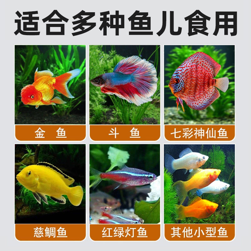 红虫干观赏鱼鱼饲料孔雀鱼热带鱼小型鱼冰冻鱼食冻丰年虾斗鱼鱼粮,淘宝优惠券,粉丝福利购,淘宝优惠卷