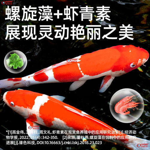 德瑞锦鲤鱼饲料鱼食观赏鱼专用鱼料金鱼通用淡水小颗粒小草金鱼粮 - 图1