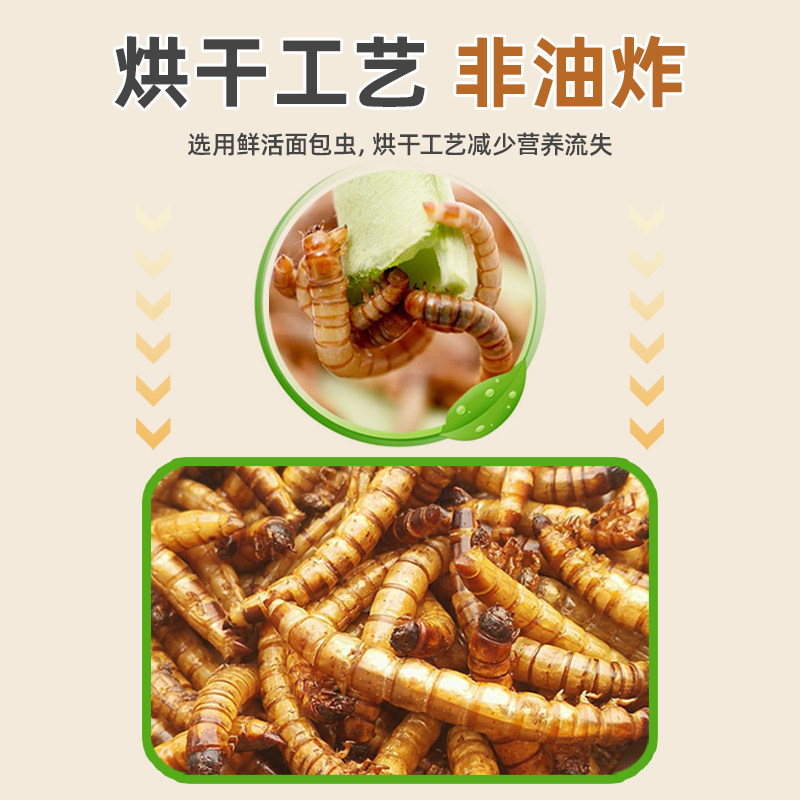 鸟食面包虫干玄凤鹦鹉八哥专用鸟粮画眉鸟鹩哥绣眼幼鸟斑鸠鸟饲料,淘宝优惠券,粉丝福利购,淘宝优惠卷