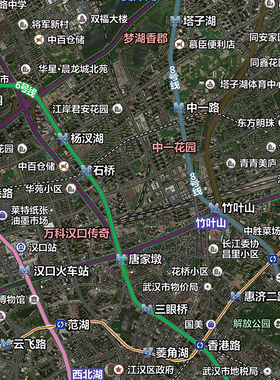 卫星地图防水墙壁装饰实物推荐