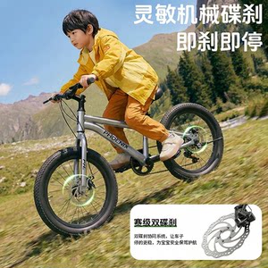 新款凤凰儿童自行车3到6岁男女孩8-10-12岁小孩男女学生骑行单车