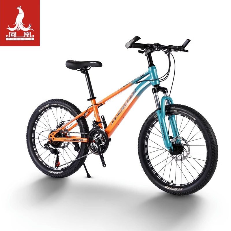 凤凰儿童自行车男孩6-8-15岁女孩变速中大童单车20寸小孩学生山地,淘宝优惠券,粉丝福利购,淘宝优惠卷
